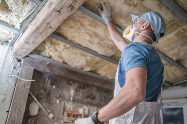 Best Insulation Maintenance and Repair in Mansfield, AR